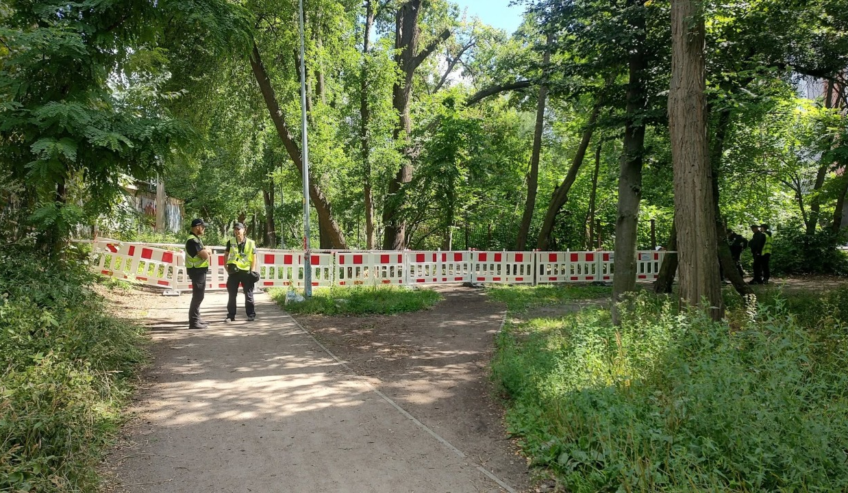 На Теремках вирубують дерева: в КМДА кажуть, що це для нової теплотраси