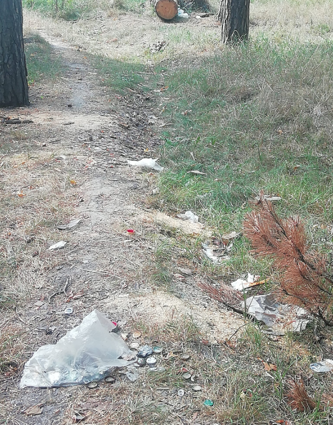 Микільський ліс у Києві переповнений сміттям і куренями безхатченків: фото