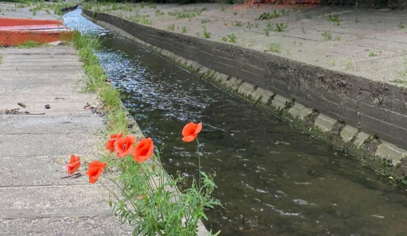 Київрада розробить концепцію ревіталізації міських водойм: як рятуватимуть річки