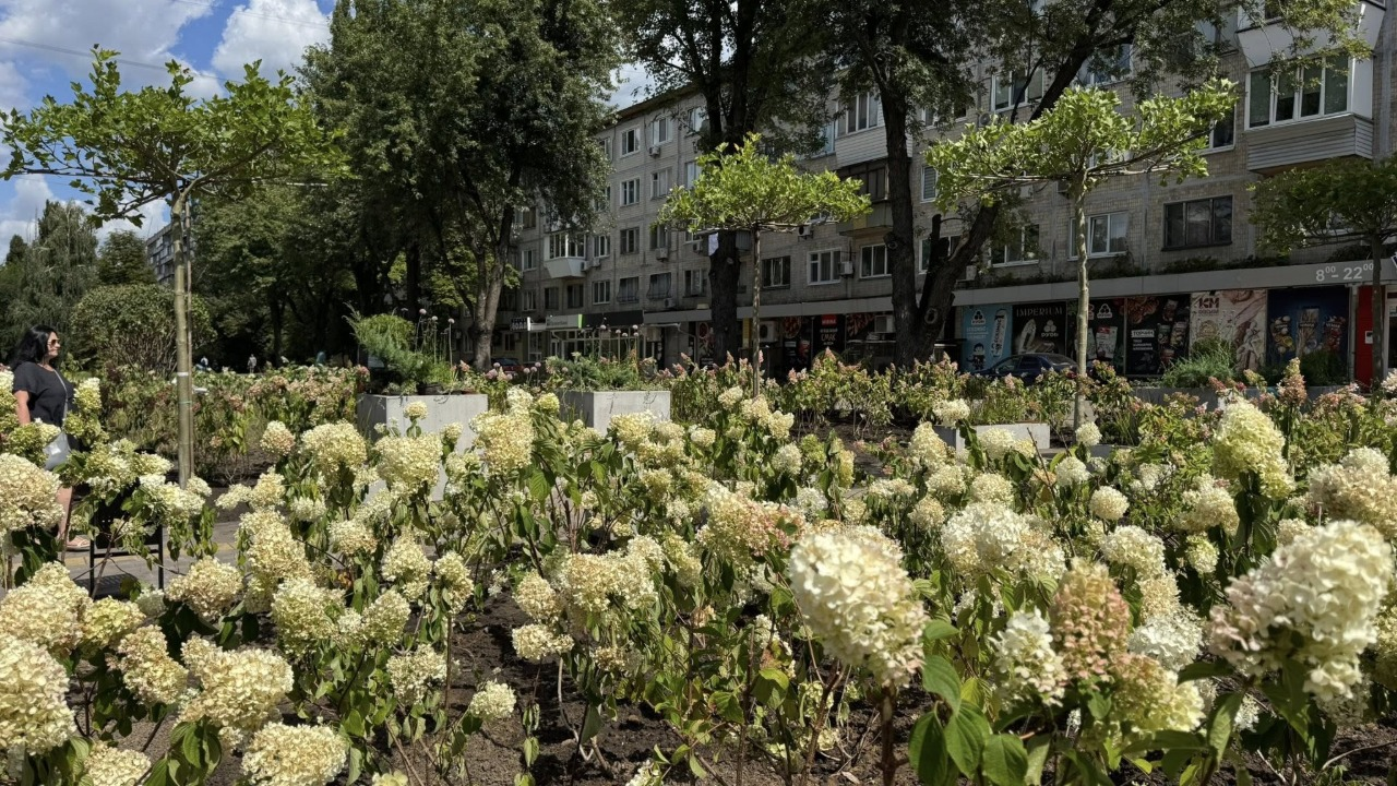 На місці демонтованих МАФів у Подільському районі Києва облаштували зелену зону: фото