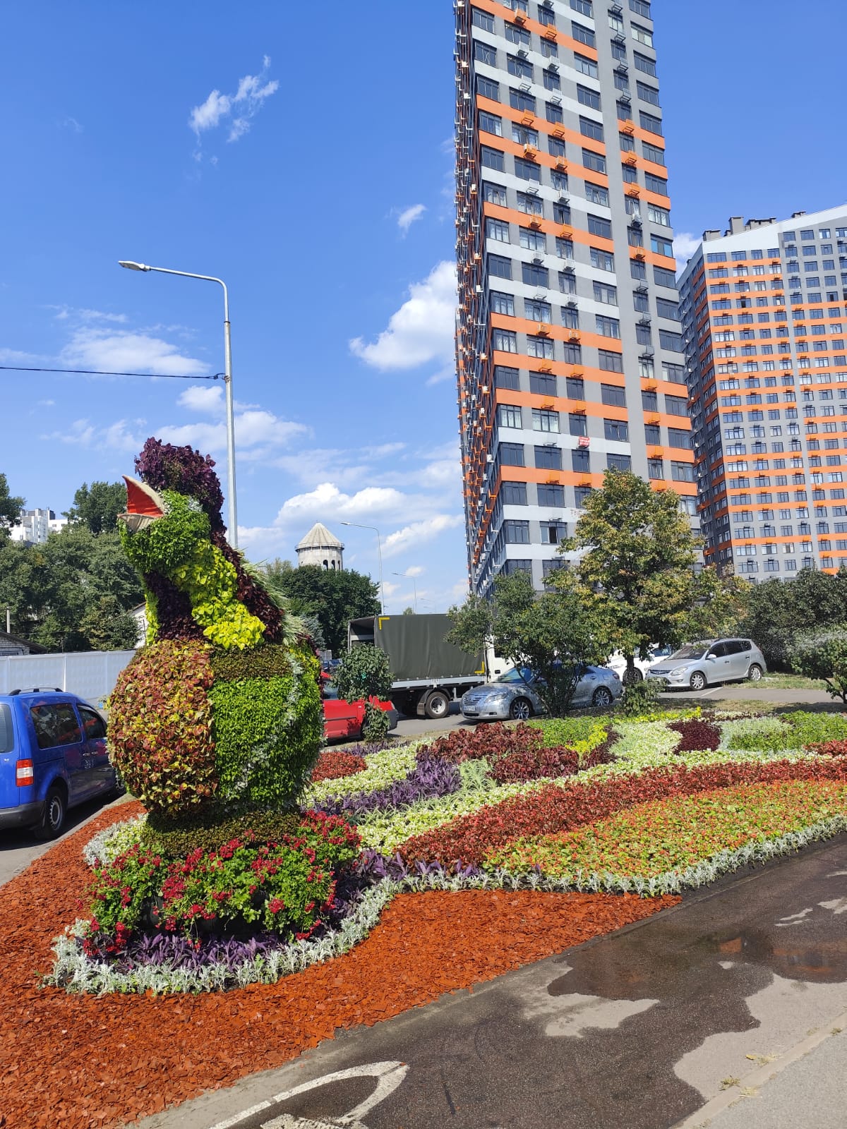 Київ прикрасили патріотичними квітковими композиціями до Дня Незалежності