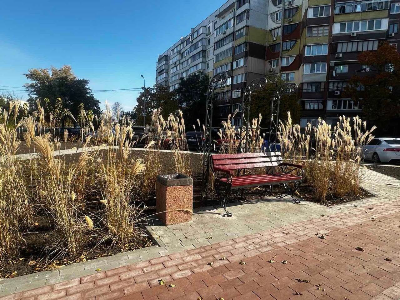 У Києві зростає кількість ділянок із декоративними злаками: які їхні переваги