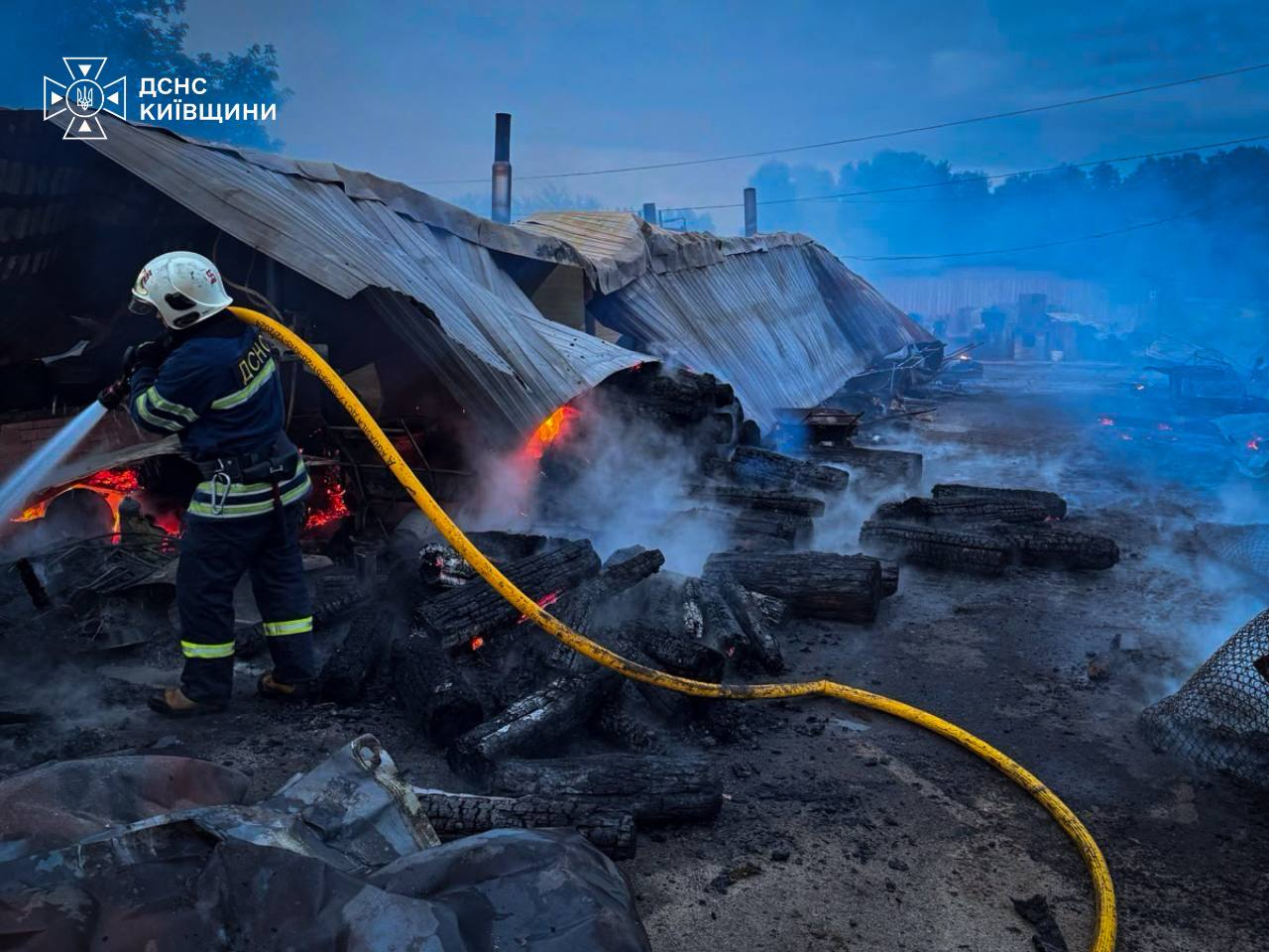 На Київщині горів притулок для тварин "Сіріус": загинули собаки