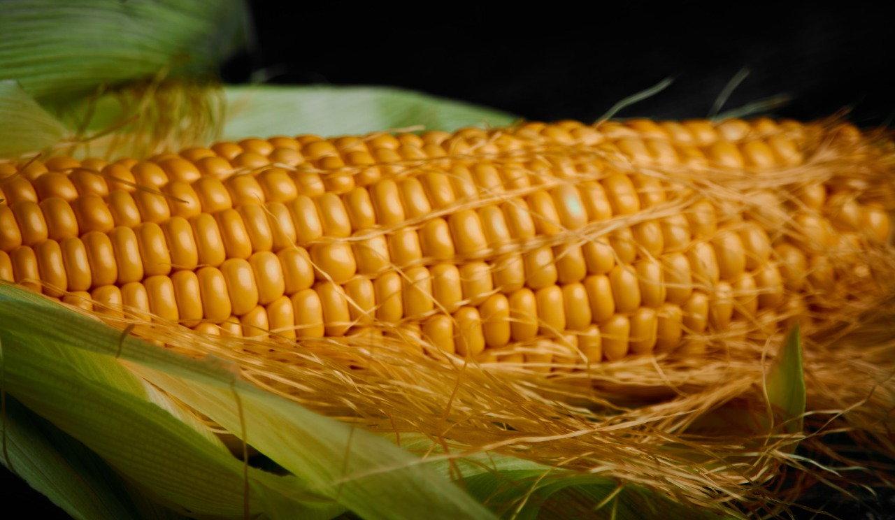 У Києві 11-16 серпня можна відвідати продуктові ярмарки: де вони проходитимуть