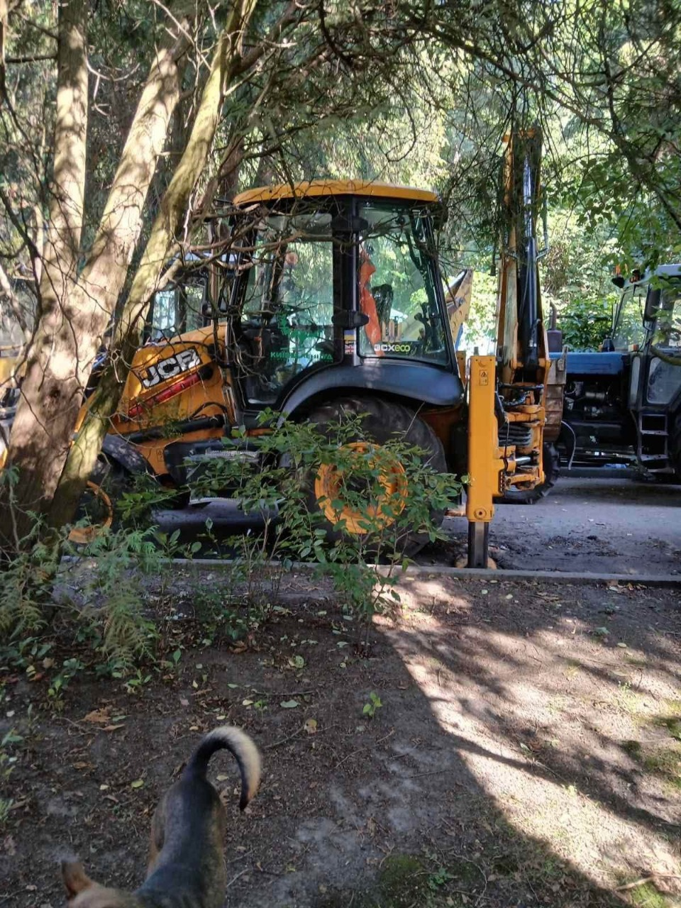 Дерева на Теремках вирубують технікою для ЗСУ: у "Київзеленбуді" заперечують