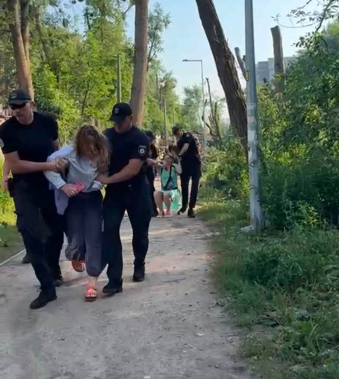 Дерева на Теремках вирубують технікою для ЗСУ: у "Київзеленбуді" заперечують