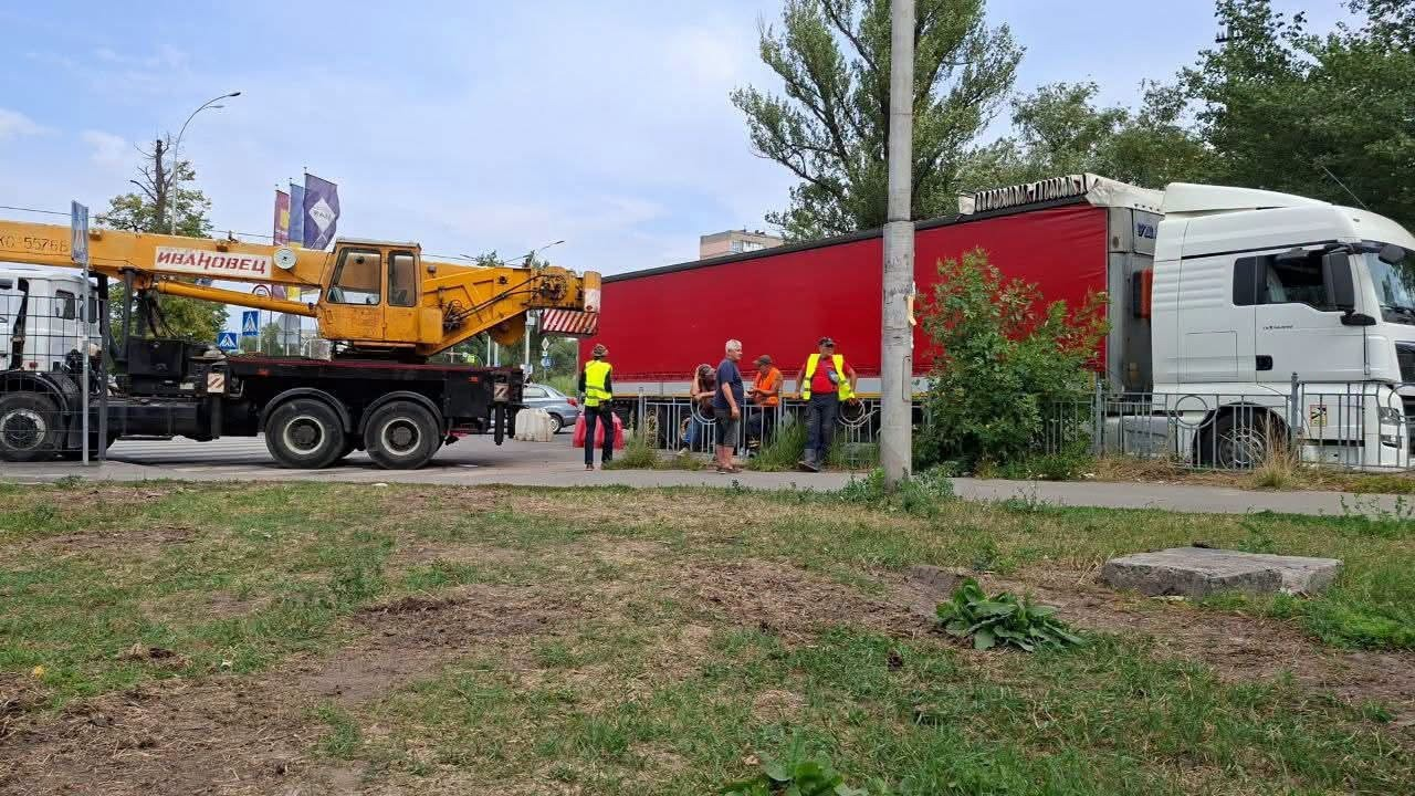 У Києві на Теремки знову звозять техніку для вирубки дерев під теплотрасу — активісти