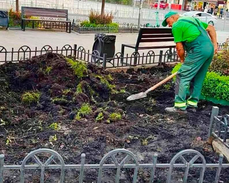 Декоративні злаки замість газону: як змінився сквер біля метро "Тараса Шевченка" у Києві
