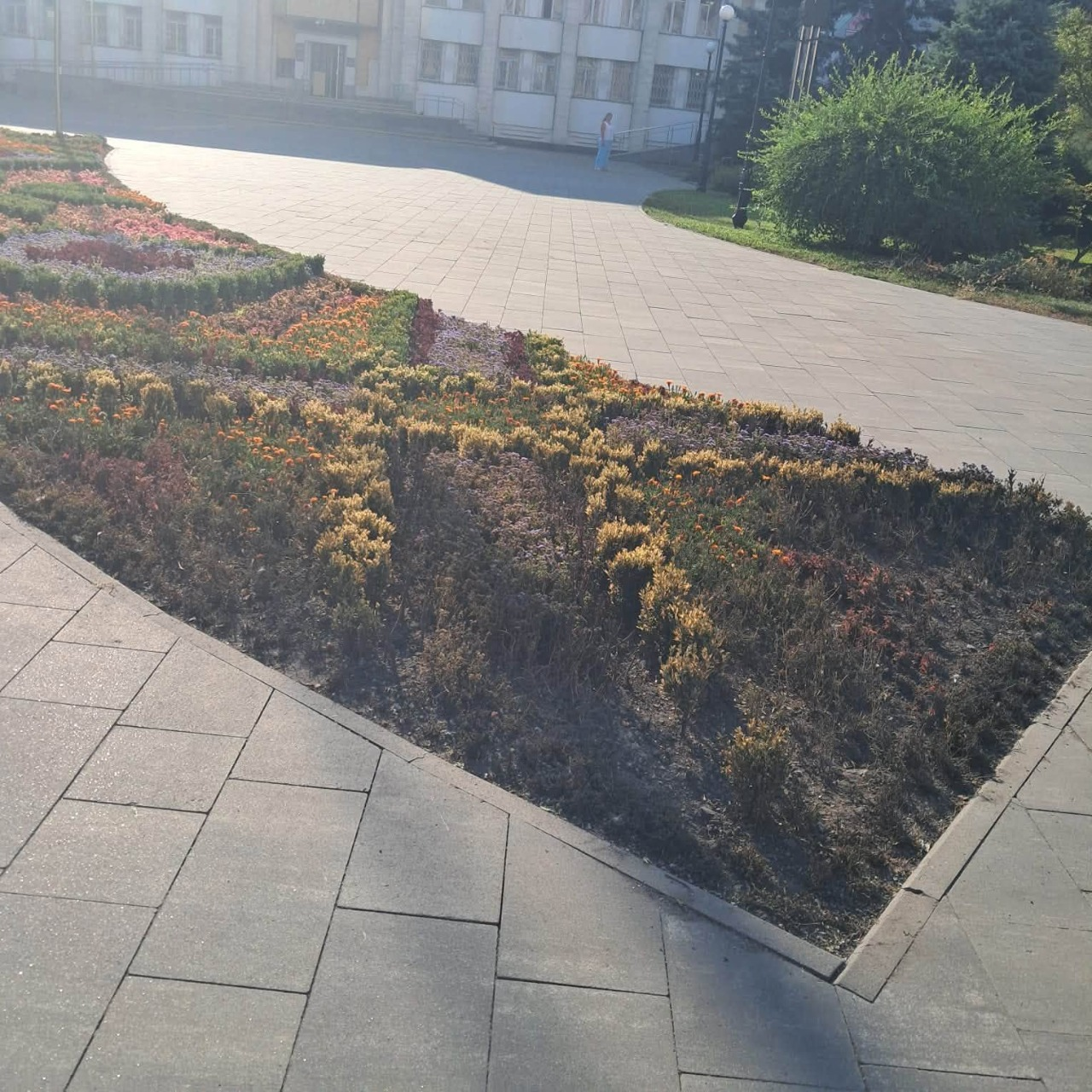 Фото: Департамент захисту довкілля та адаптації до зміни клімату КМДА Квіти замість вирви: у Дарницькому районі відновили клумбу, знищену обстрілом рф