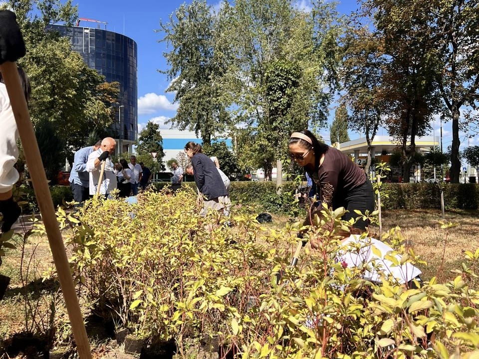 Post War Greening: у сквері на Почайні в Києві висадили 500 рослин