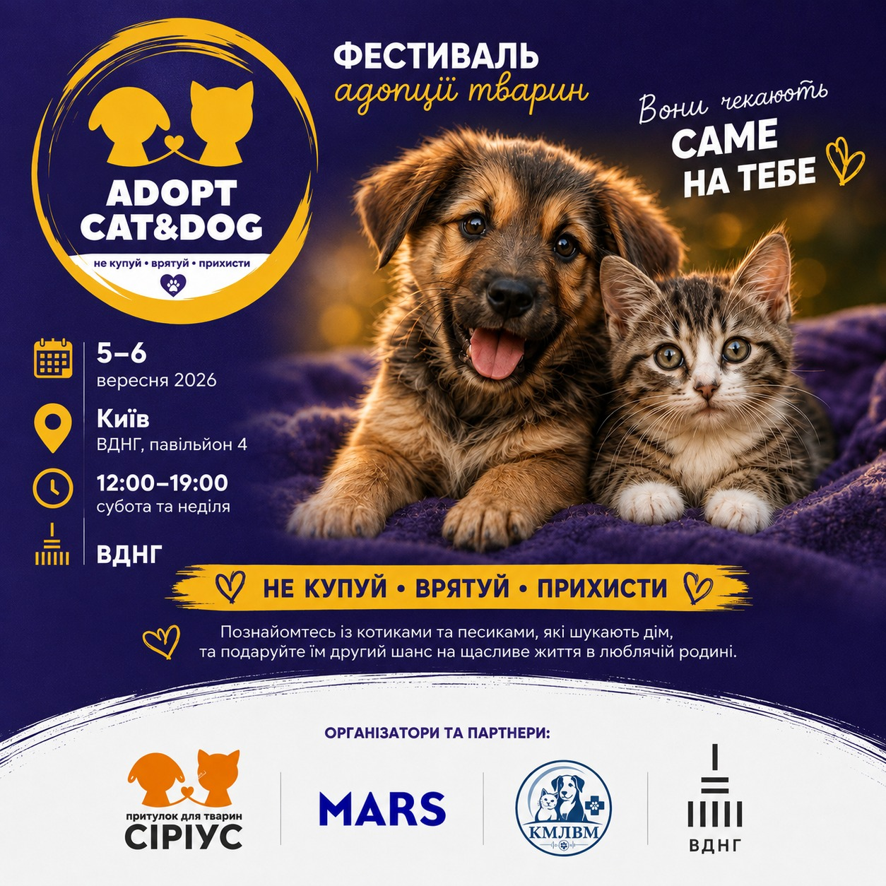 "Adopt CAT & DOG": на ВДНГ у Києві влаштують фестиваль адопції тварин