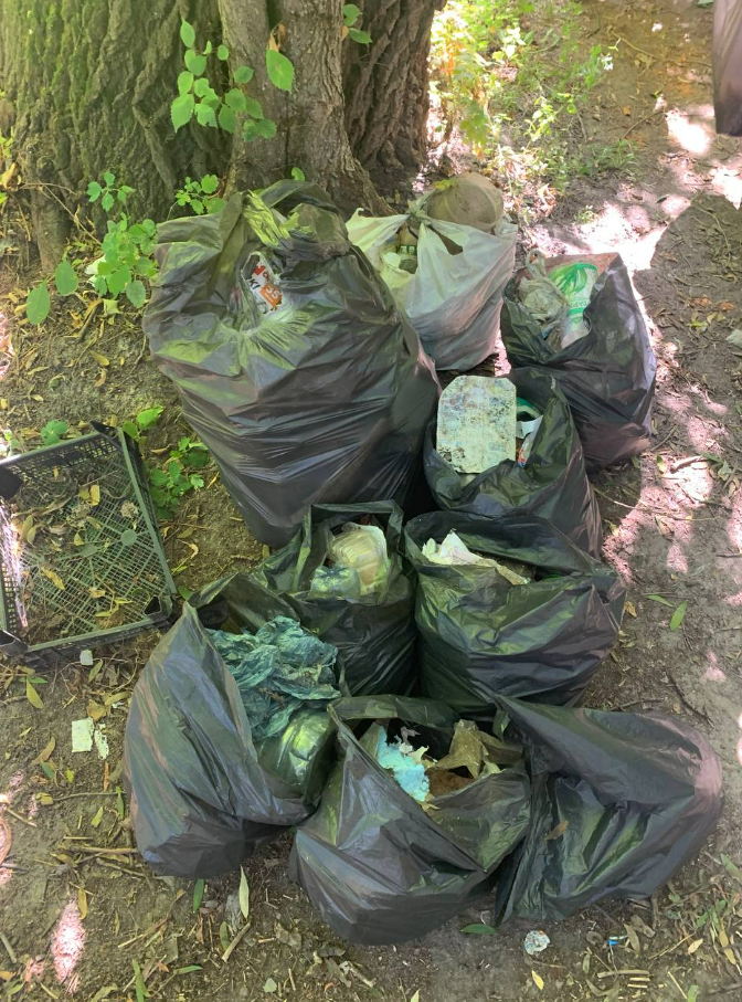 У Голосіївському парку зібрали півтонни сміття: фото