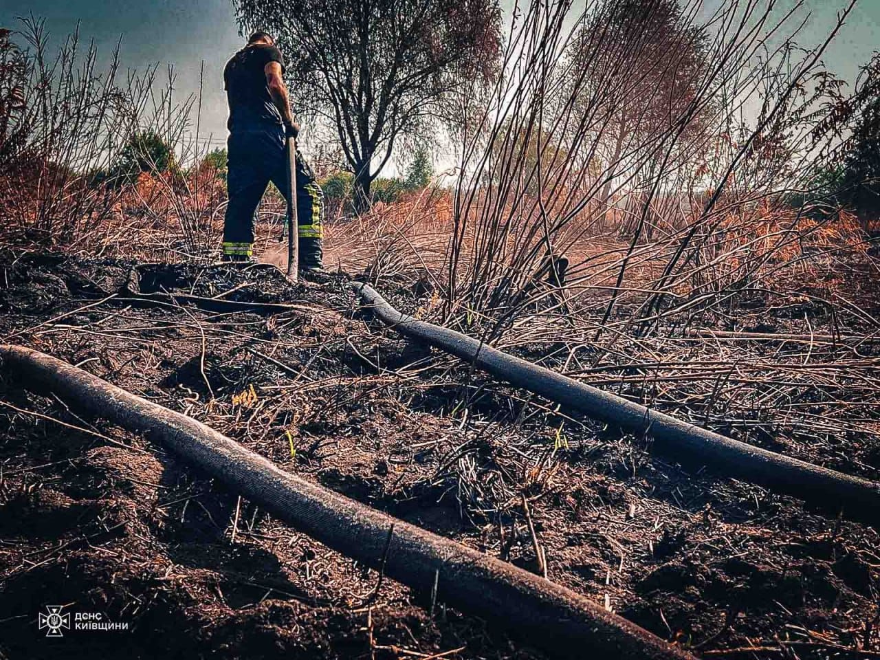 На Київщині ліквідовують займання торфу: фото та подробиці