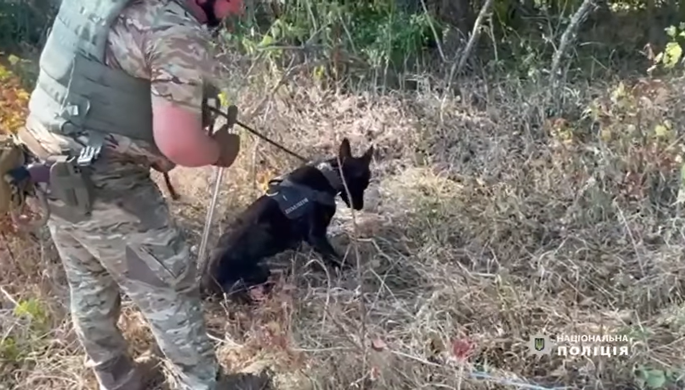 Київські поліцейські-кінологи з собаками допомагають розміновувати Харківщину