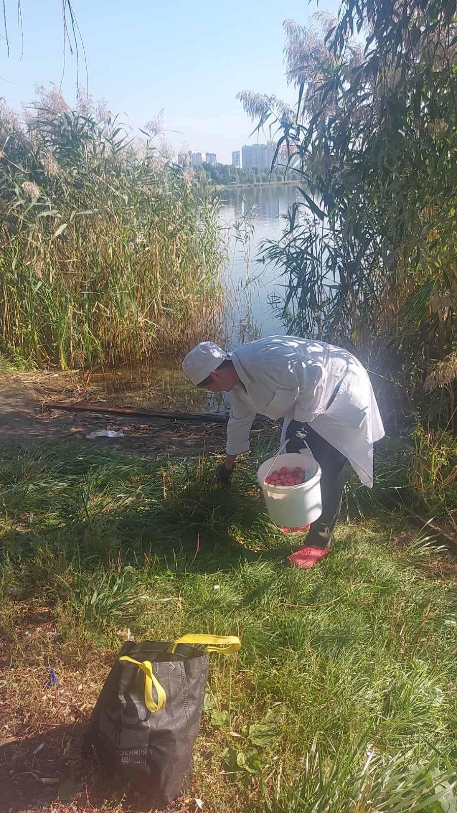 На водоймах Києва розпочали боротьбу з гризунами: фото та подробиці