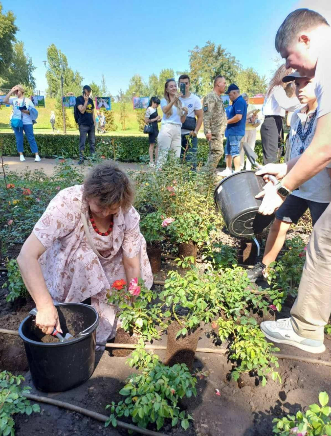 У парку Наталка висадили понад 50 кущів троянд на честь Бахмута