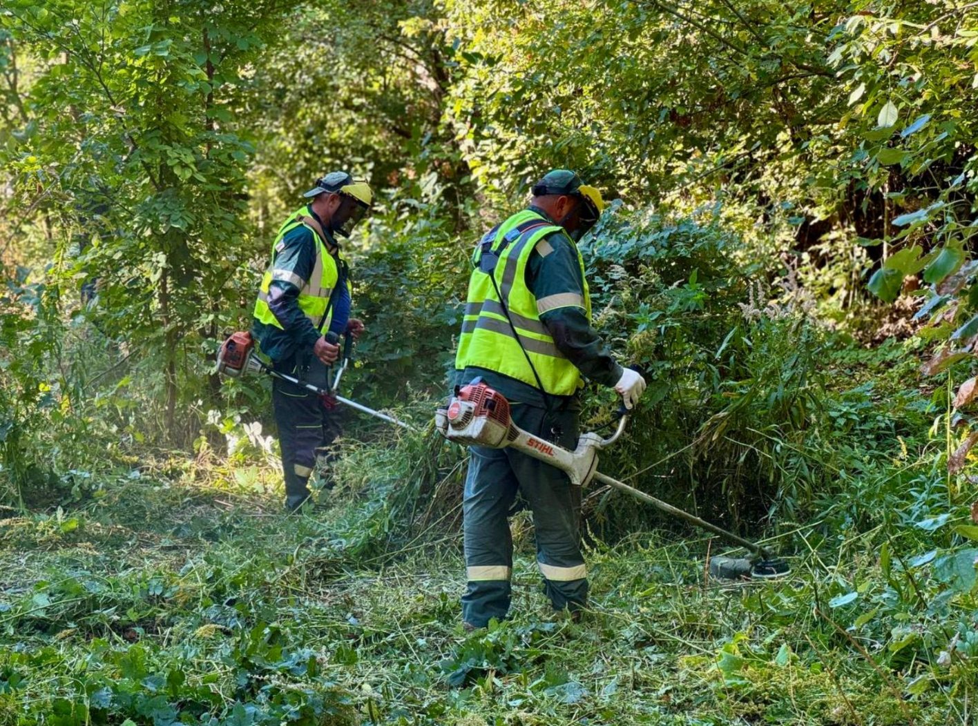 На Позняках розсчистили береги озера Жандарка від сміття та рослинності, фото