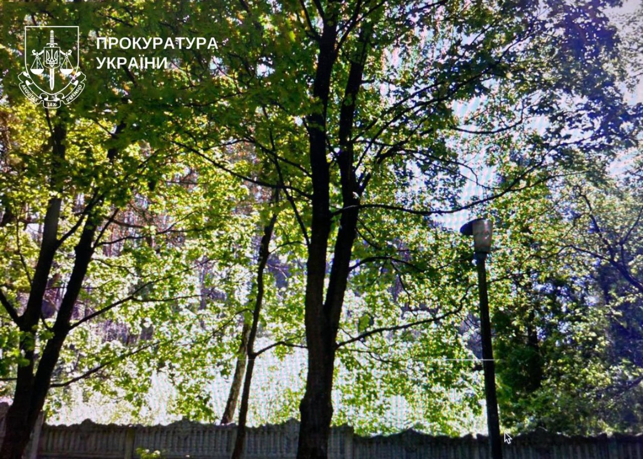 У Дарницькому районі Києва планували забудувати 16 гектарів лісу — міська прокуратура