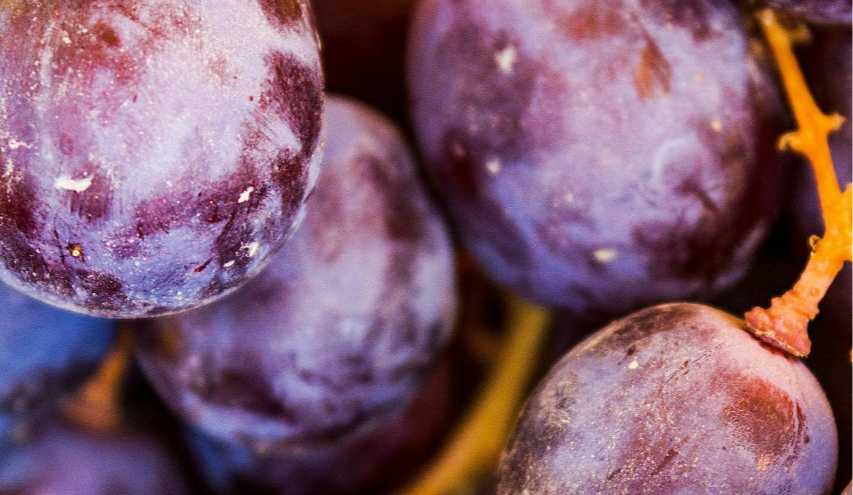 Де у Києві проходитимуть продуктові ярмарки 9-14 вересня 2025 року: адреси