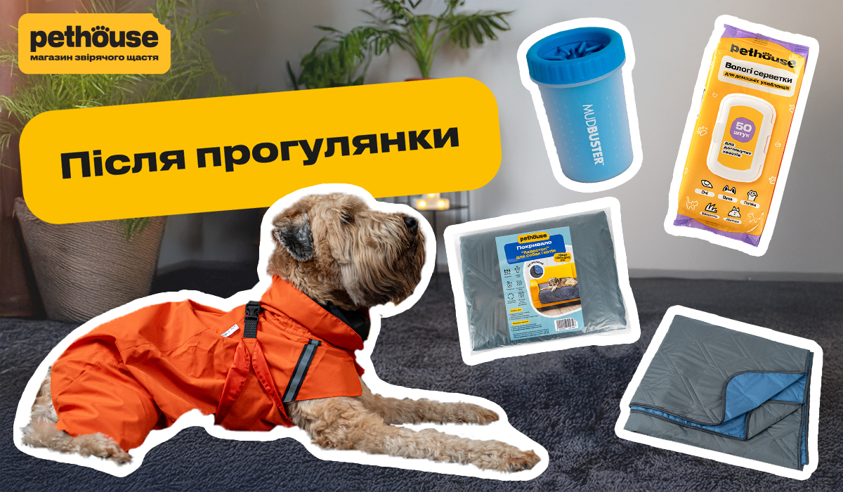 Осінні прогулянки з улюбленцем: готуємось до дощів та холоду з Pethouse