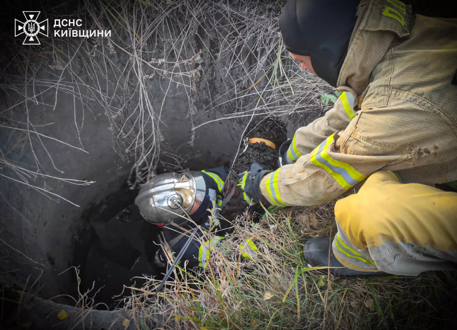На Київщині рятувальники дістали собаку з двометрового колодязя
