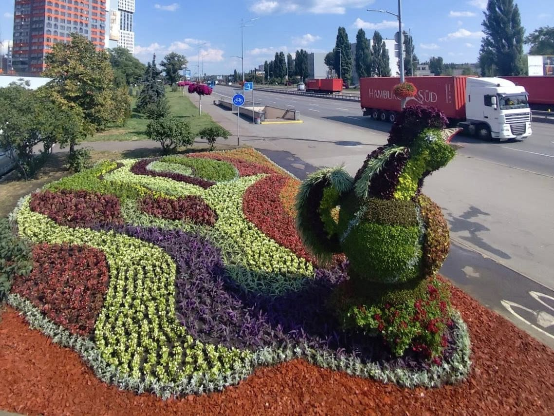 На проспекті Бажана у Києві висадили квітник "Васильківська майоліка": фото