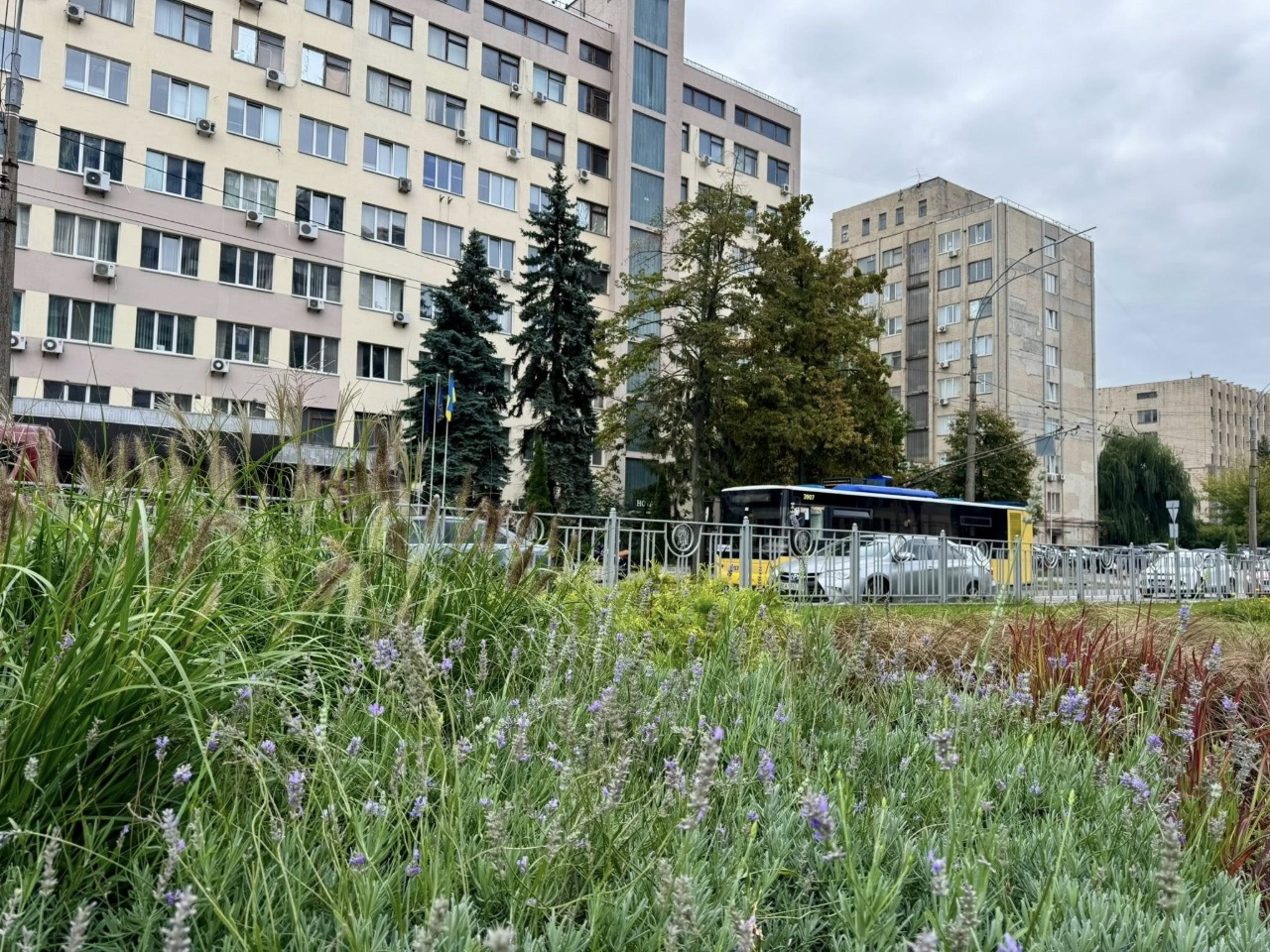 На Чоколівці в Києві з’явилися квітники "нової хвилі": що це і як вони виглядають