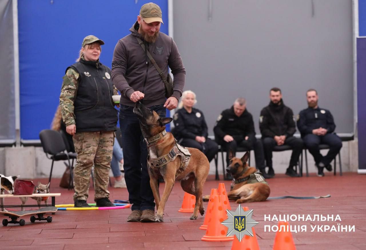 Ветерани та військові проходять реабілітацію із собаками