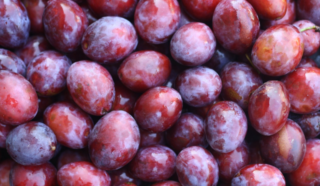 Де у Києві відвідати продуктові ярмарки 8-13 вересня: адреси