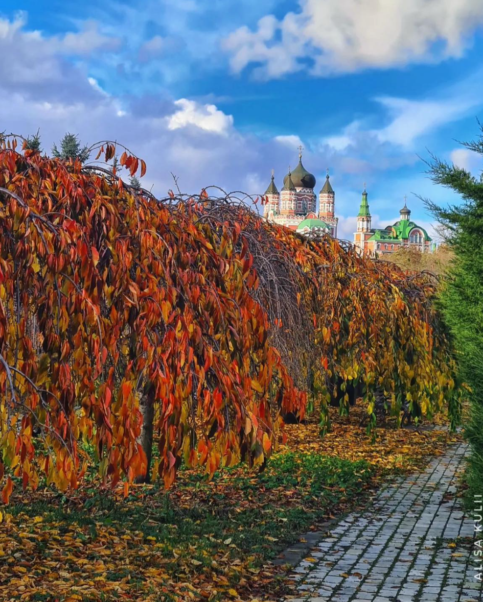 Парк "Феофанія". Фото: Alisa Kulii Парк "Феофанія". Фото: Alisa Kulii