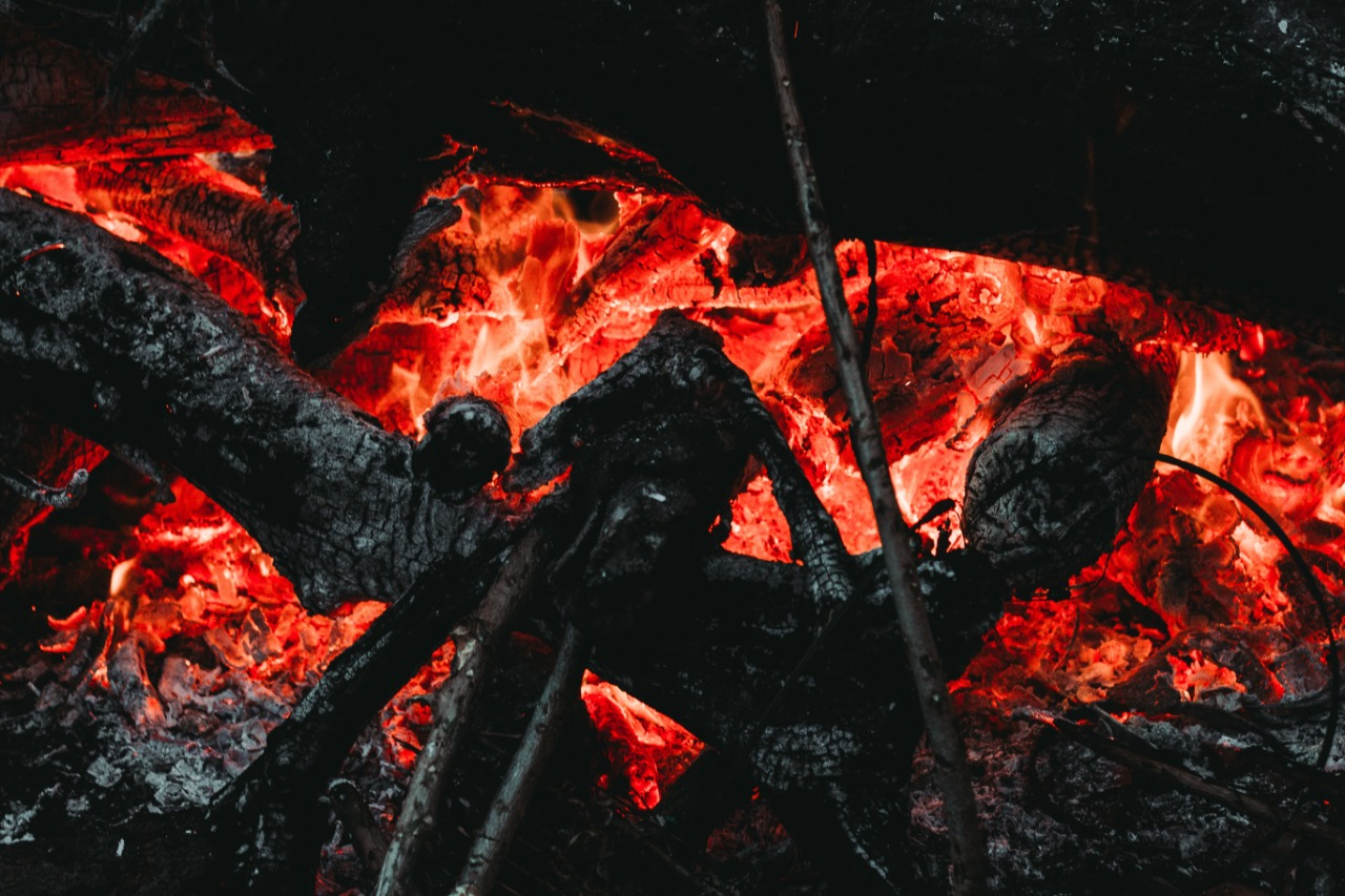 Фото ілюстративне: Pexels