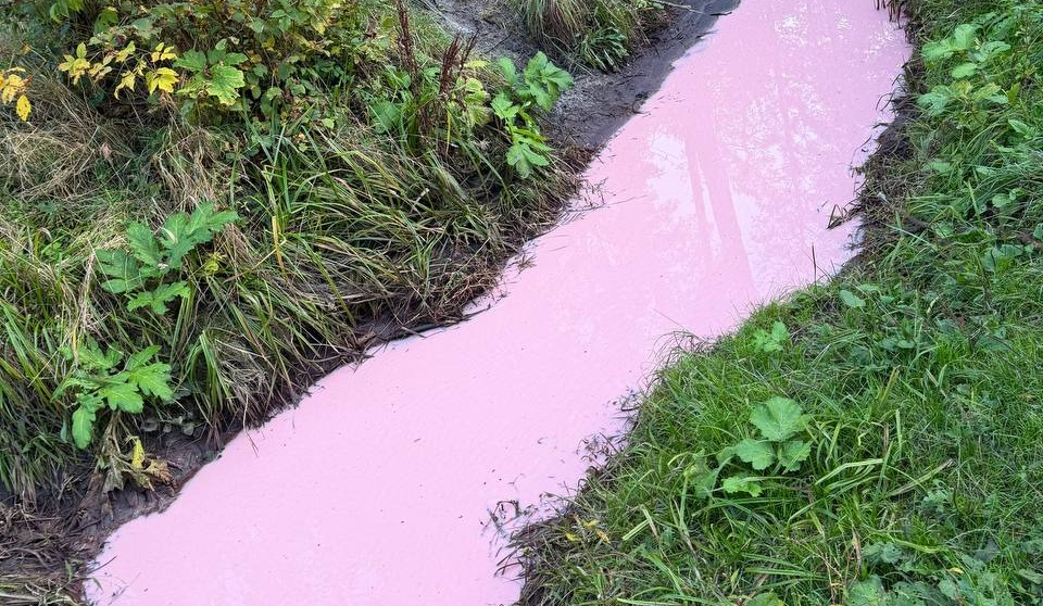 Рожева вода і загроза скидів: у Києві помітили забруднення річки Любка