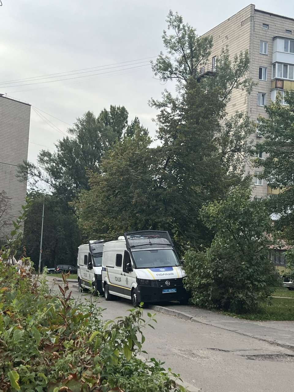 Автозаки і загони поліції: незаконна вирубка на Теремках у Києві триває