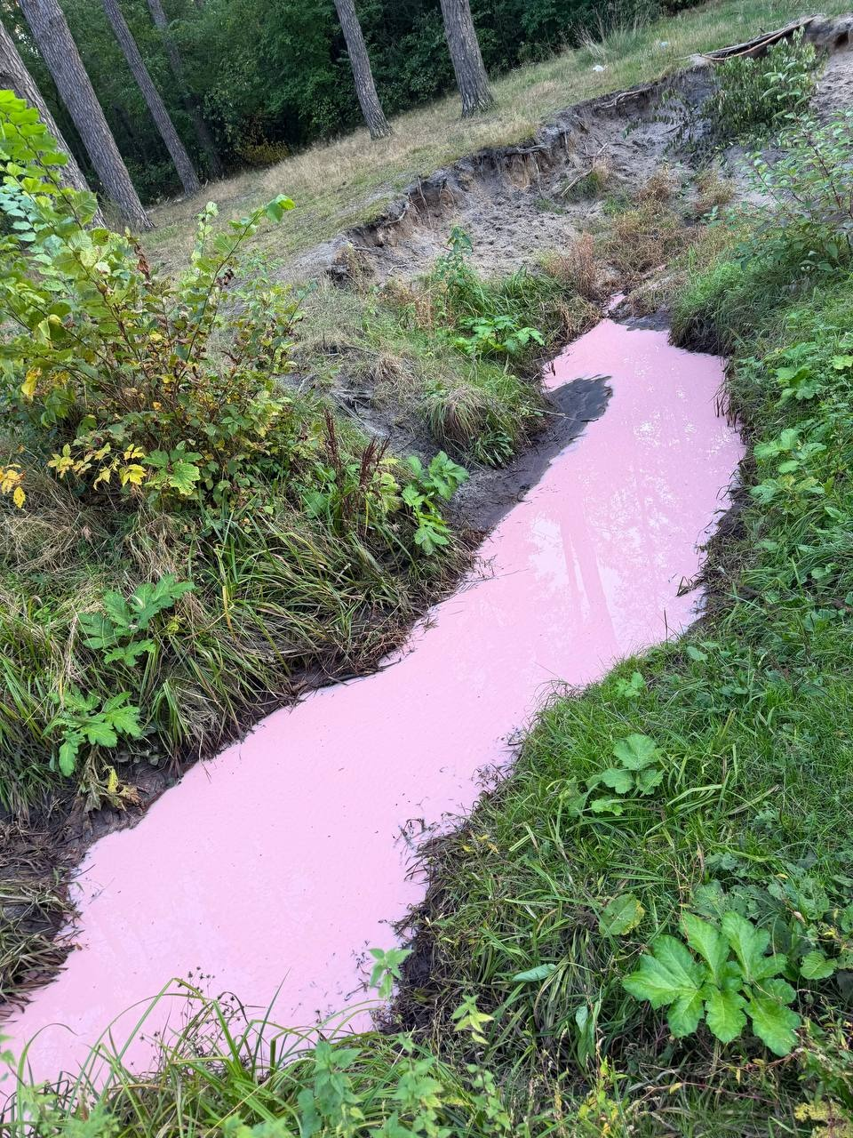 Рожева вода і загроза скидів: у Києві помітили забруднення річки Любка
