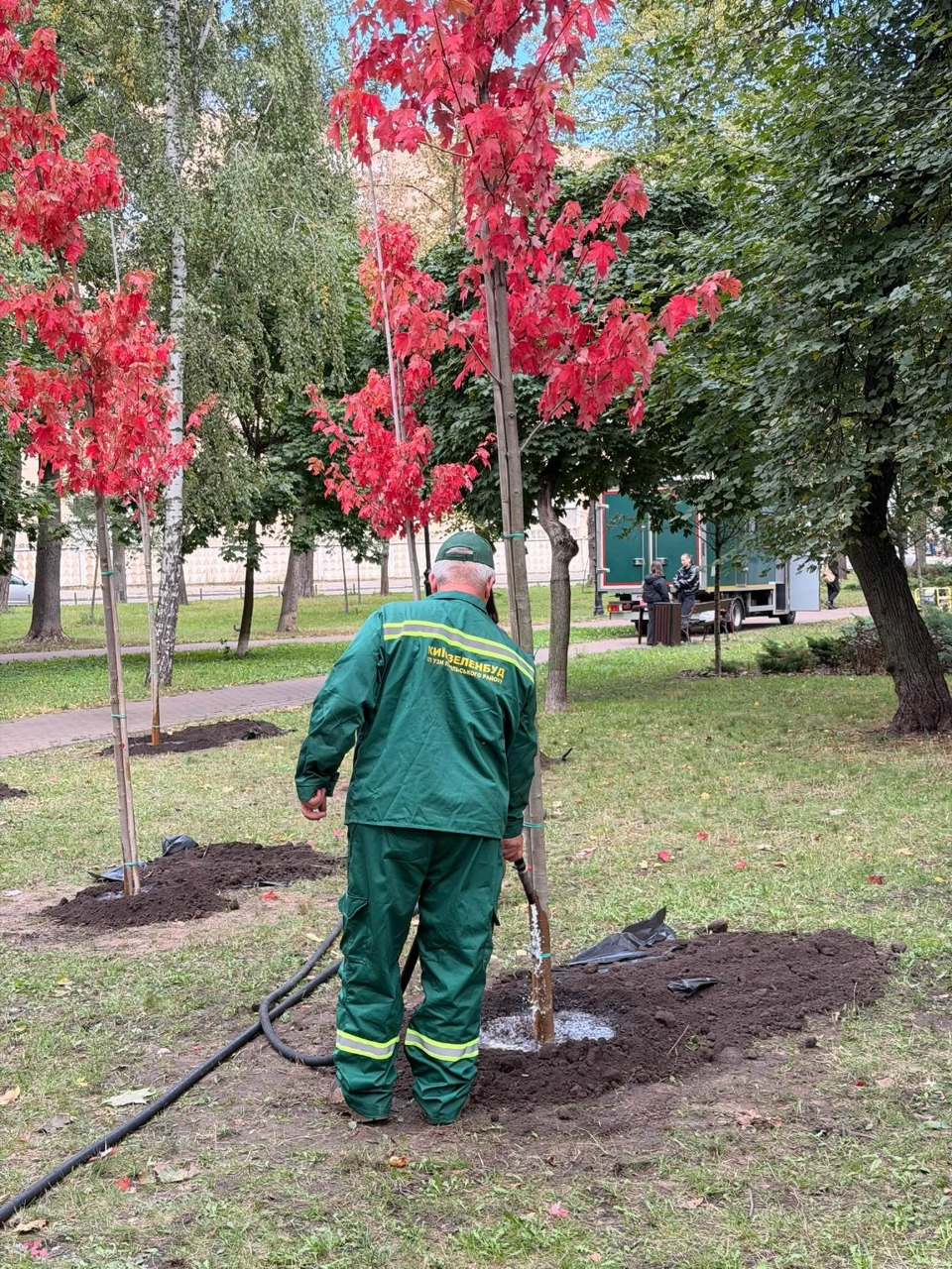 Зелені зони Києва доповнили новоми деревами та кущами: що висадили і де