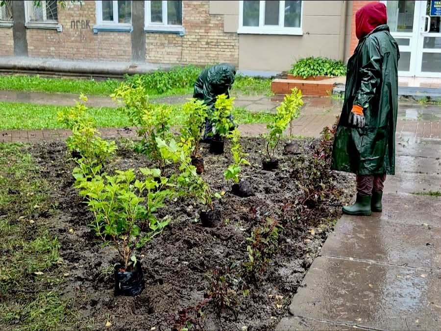 Зелені зони Києва доповнили новоми деревами та кущами: що висадили і де