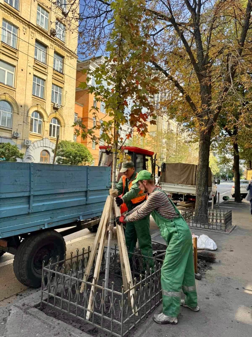 У Шевченківському районі Києва висадили молоді клени та акації: фото