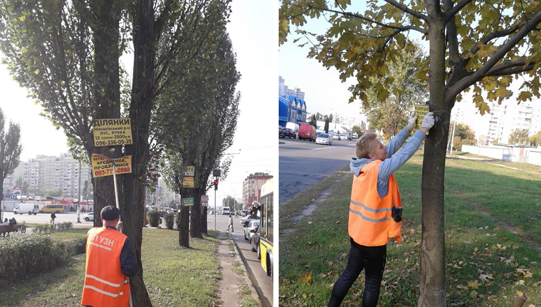 Коммунальщики очистили от рекламы деревья на столичном бульваре