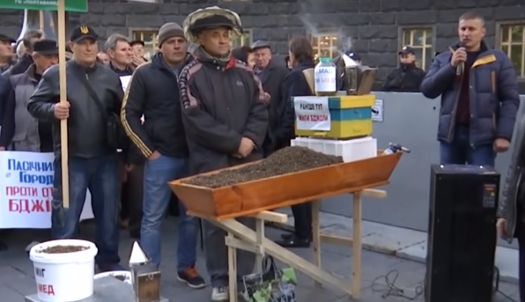 Под Кабмин принесли гроб с мертвыми пчелами (видео)