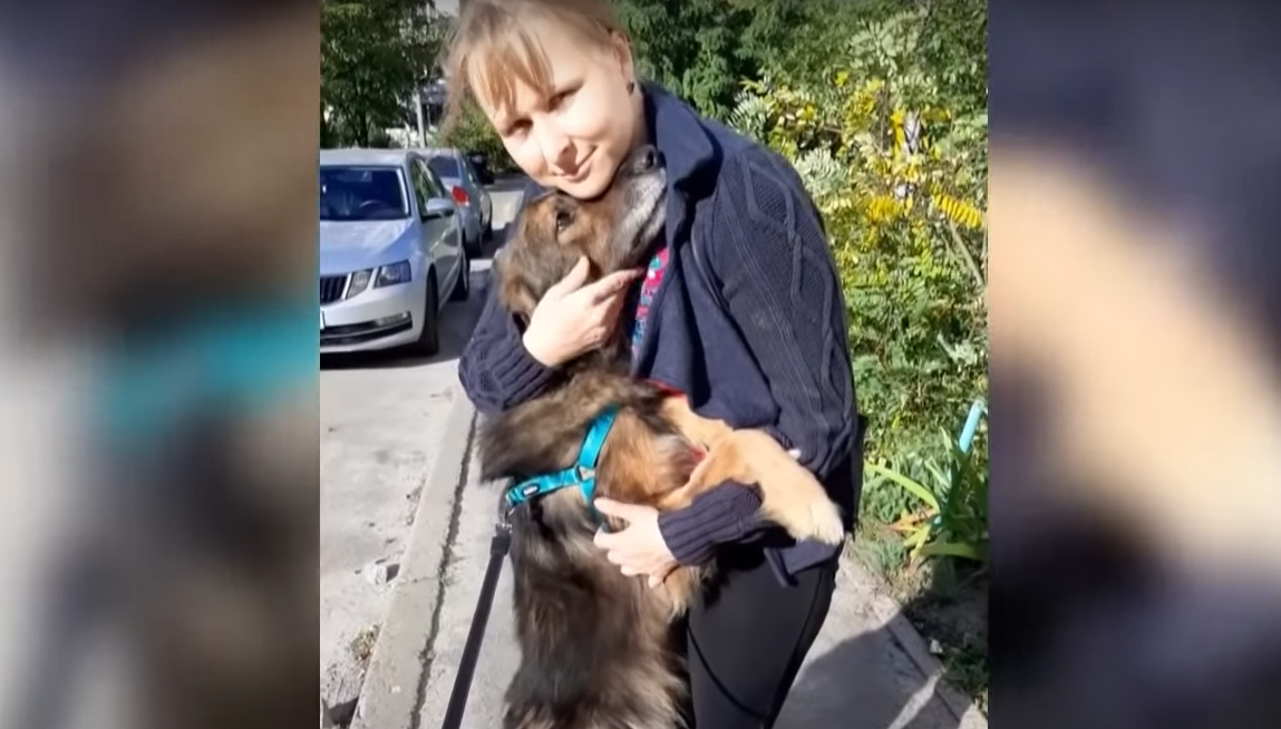 Киевлянка нашла своего пса после 11 лет разлуки