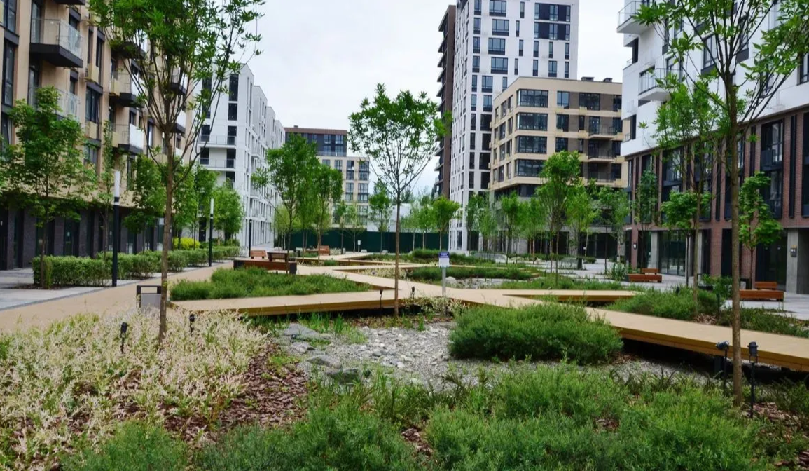 У Києві хочуть створити 10 дощових садів: навіщо вони потрібні