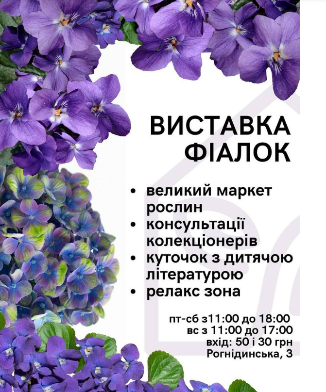 У Києві в Будинку природи відбудеться виставка фіалок: де та коли