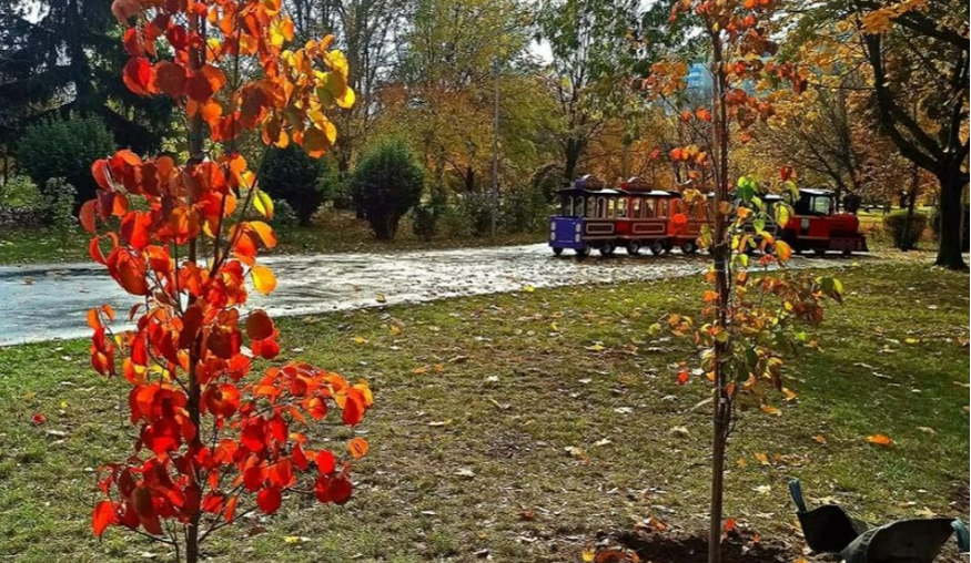 У Броварах в парку "Перемога"  на місці демонтованого танка висадили дерева: ФОТО
