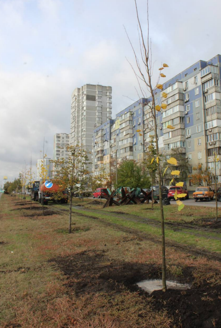 У Києві біля метро "Харківська" висадили нові дерева — 80 лип та 17 ялинок