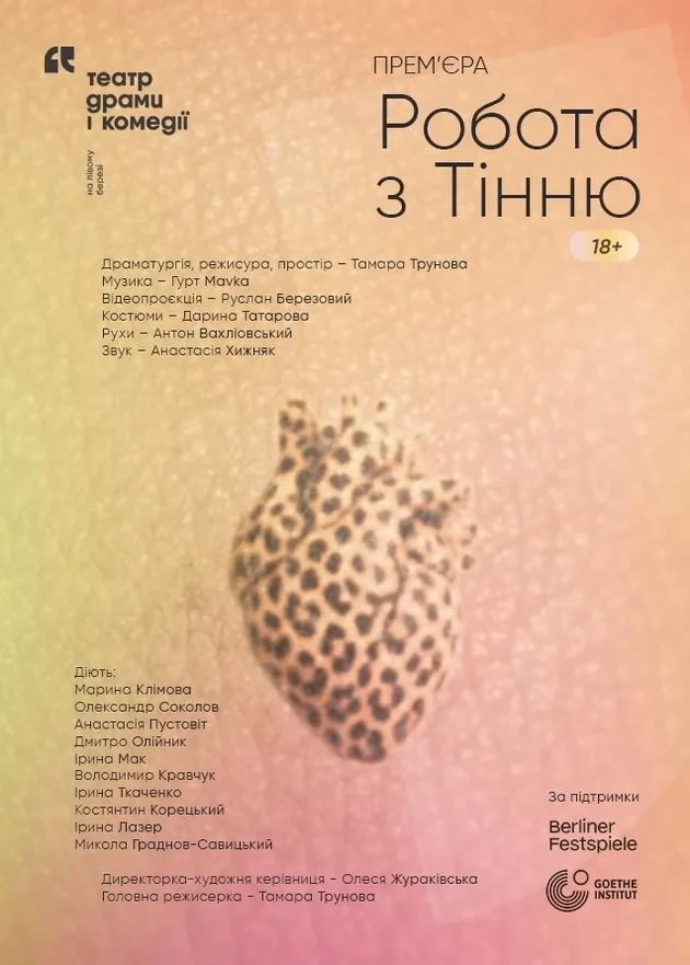 "Робота з тінню" вистава