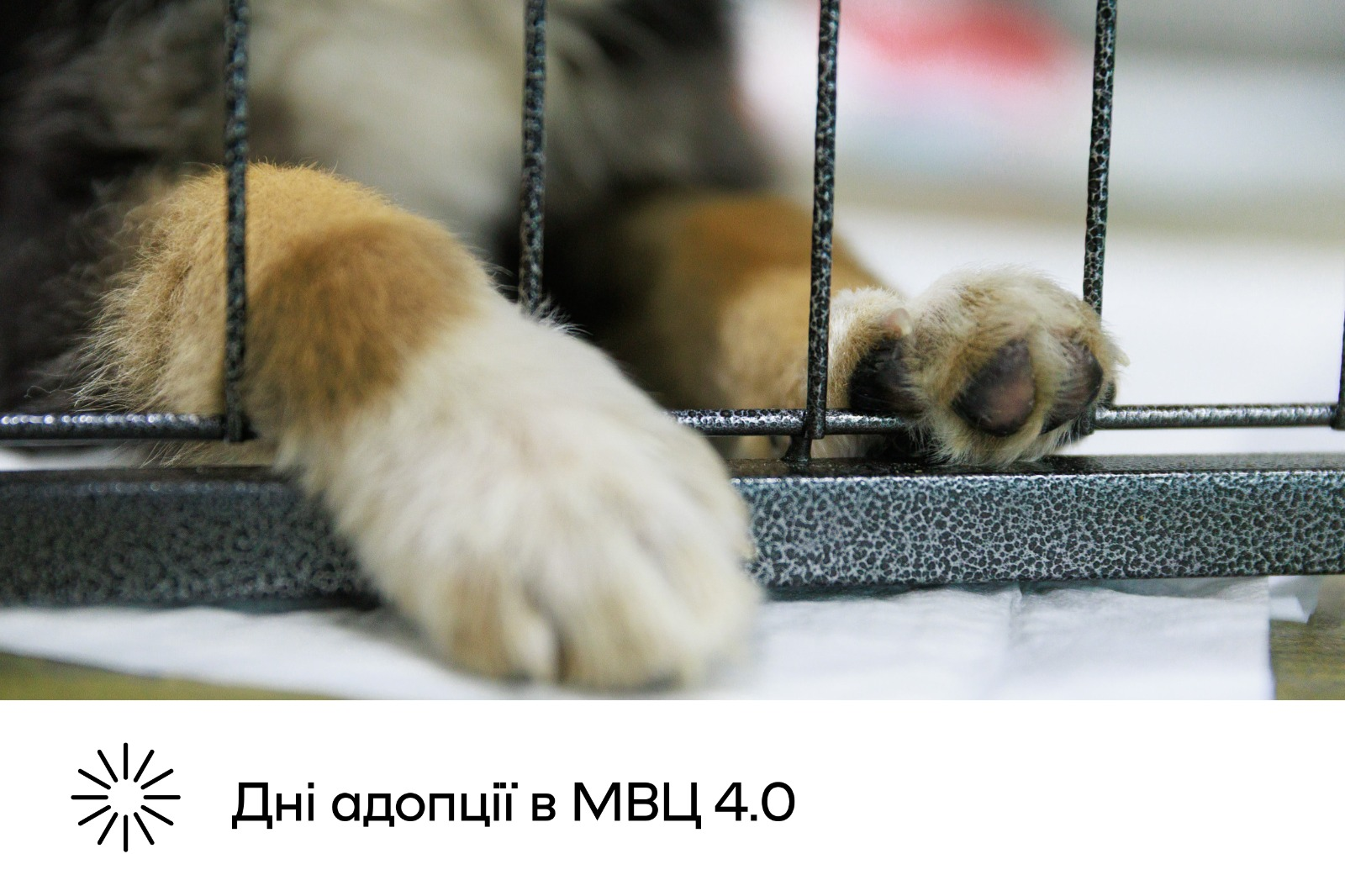 Куди піти у Києві на вихідних: афіша 3-5 жовтня 2025 року