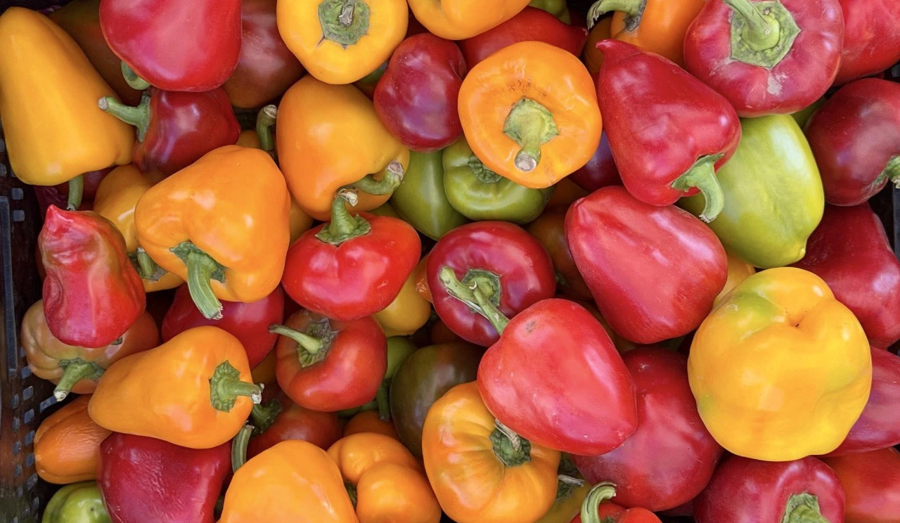 14-19 жовтня у столиці проходитимуть продуктові ярмарки: адреси