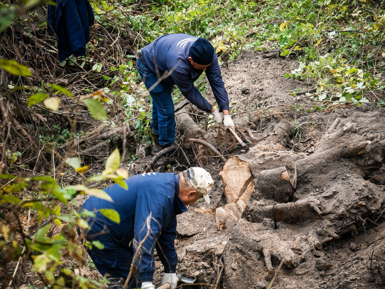 У Святошинському районі Києва від сміття і повалених дерев розчистили канал: фото