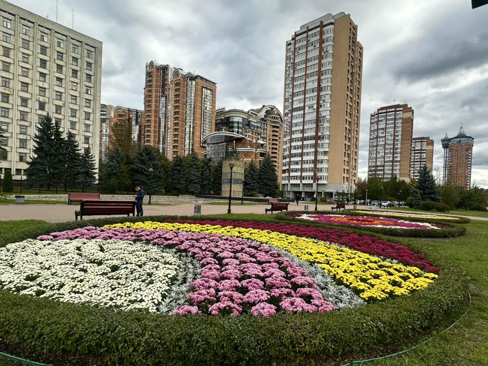 Тисячі хризантем прикрасили площу Лесі Українки на Печерську в Києві: фото