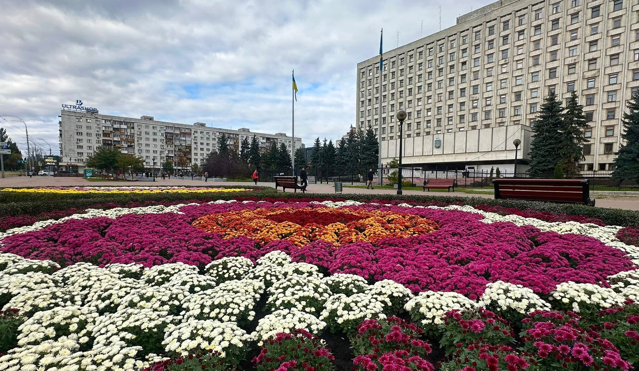 Тисячі хризантем прикрасили площу Лесі Українки на Печерську: фото